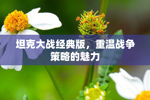 坦克大战经典版，重温战争策略的魅力