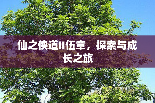 仙之侠道II伍章,探索与成长之旅 仙之侠道II伍章,探索与成长之旅