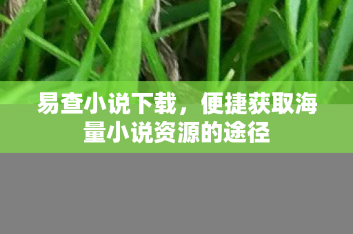 易查小说下载，便捷获取海量小说资源的途径