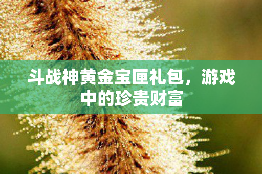 斗战神黄金宝匣礼包，游戏中的珍贵财富