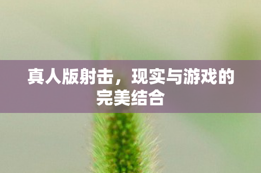 真人版射击，现实与游戏的完美结合