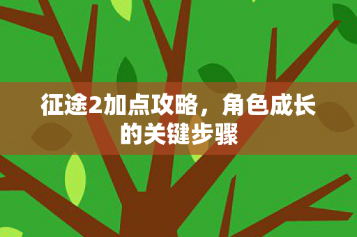 征途2加点攻略，角色成长的关键步骤