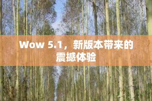 Wow 5.1，新版本带来的震撼体验