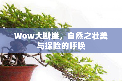 Wow大断崖，自然之壮美与探险的呼唤