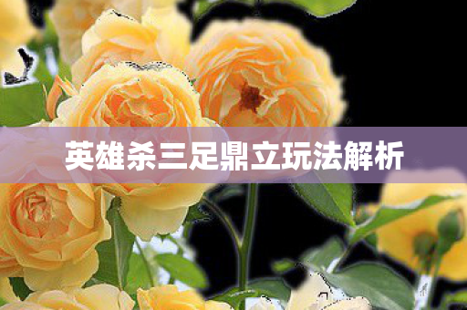 英雄杀三足鼎立玩法解析 英雄杀三足鼎立玩法解析