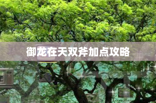 御龙在天双斧加点攻略 御龙在天双斧加点攻略