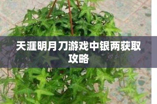 天涯明月刀游戏中银两获取攻略