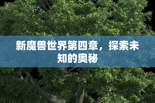 新魔兽世界第四章，探索未知的奥秘