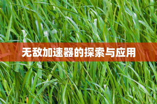 无敌加速器的探索与应用
