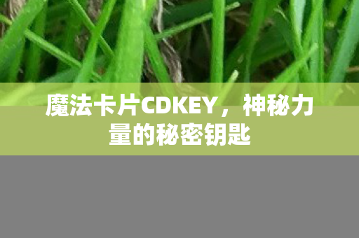 魔法卡片CDKEY，神秘力量的秘密钥匙