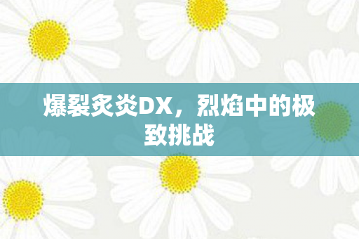 爆裂炙炎DX，烈焰中的极致挑战