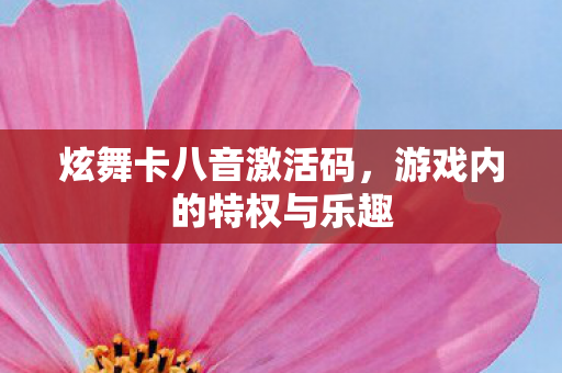 炫舞卡八音激活码，游戏内的特权与乐趣
