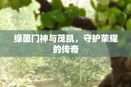 绿茵门神与茂凯,守护荣耀的传奇 绿茵门神与茂凯,守护荣耀的传奇