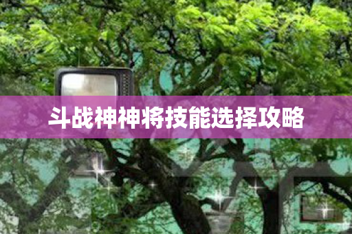 斗战神神将技能选择攻略 斗战神神将技能选择攻略