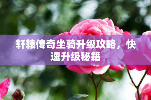 轩辕传奇坐骑升级攻略，快速升级秘籍