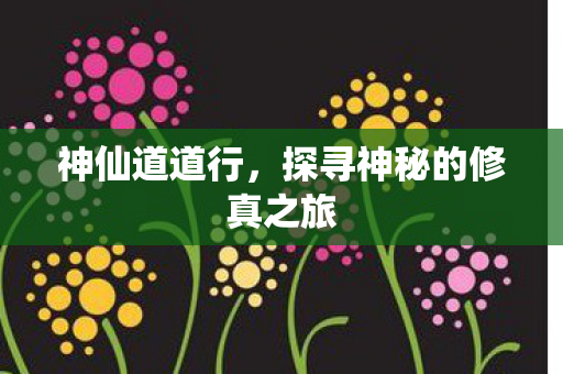 神仙道道行，探寻神秘的修真之旅