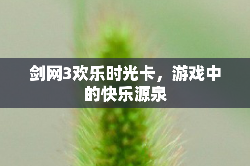 剑网3欢乐时光卡，游戏中的快乐源泉