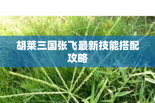 胡莱三国张飞最新技能搭配攻略 胡莱三国张飞最新技能搭配攻略