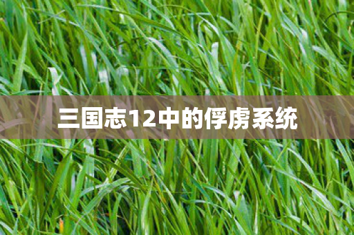 三国志12中的俘虏系统