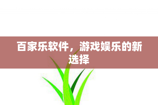 百家乐软件，游戏娱乐的新选择