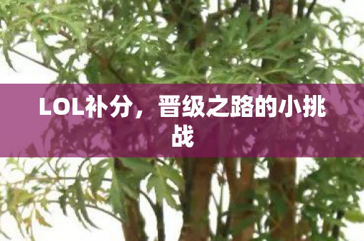 LOL补分，晋级之路的小挑战