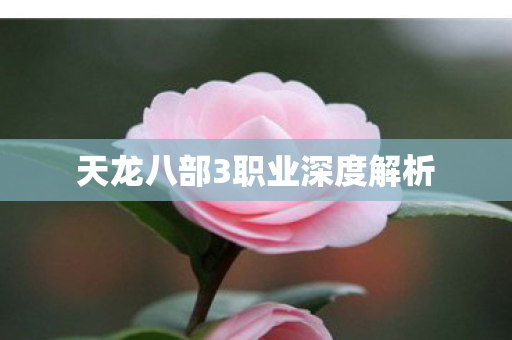天龙八部3职业深度解析