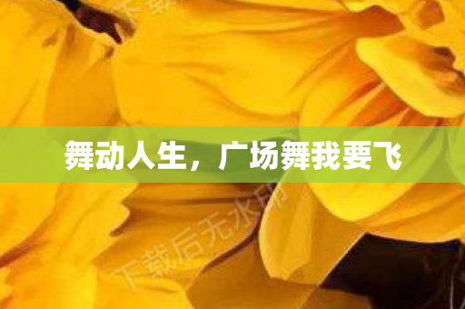 舞动人生，广场舞我要飞