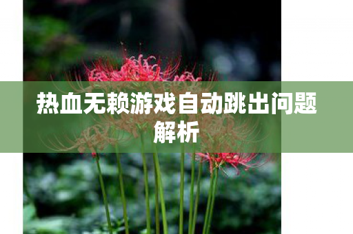 热血无赖游戏自动跳出问题解析