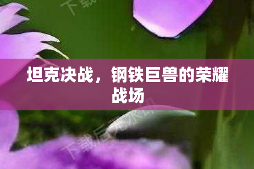 坦克决战，钢铁巨兽的荣耀战场