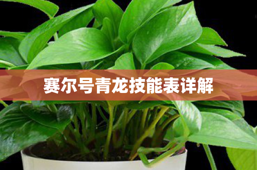 赛尔号青龙技能表详解