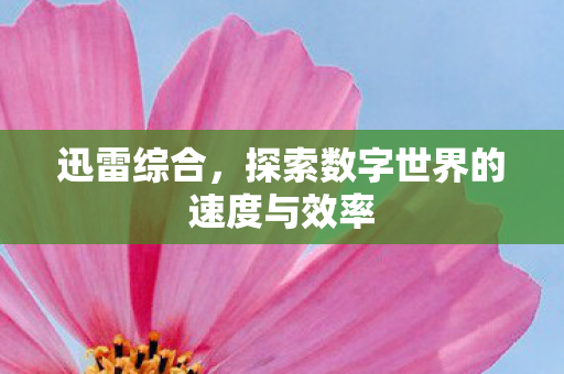 迅雷综合,探索数字世界的速度与效率 迅雷综合,探索数字世界的速度与效率