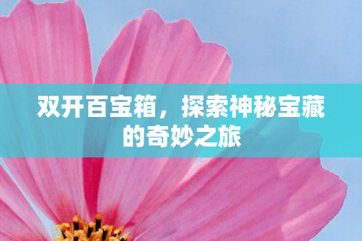 双开百宝箱，探索神秘宝藏的奇妙之旅