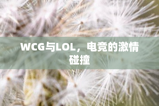 WCG与LOL，电竞的激情碰撞