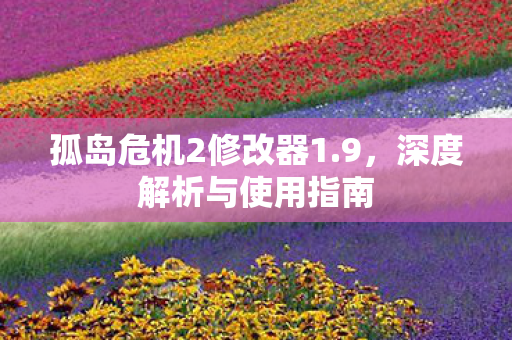 孤岛危机2修改器1.9，深度解析与使用指南