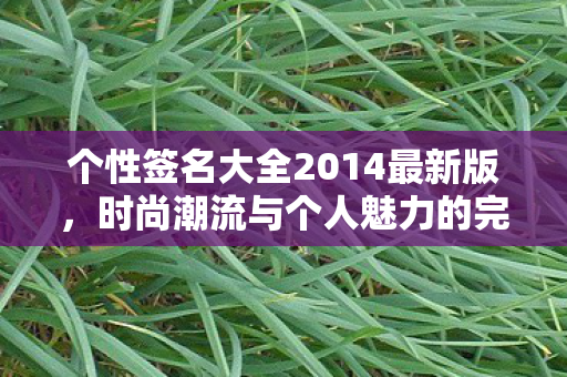 个性签名大全2014最新版，时尚潮流与个人魅力的完美结合