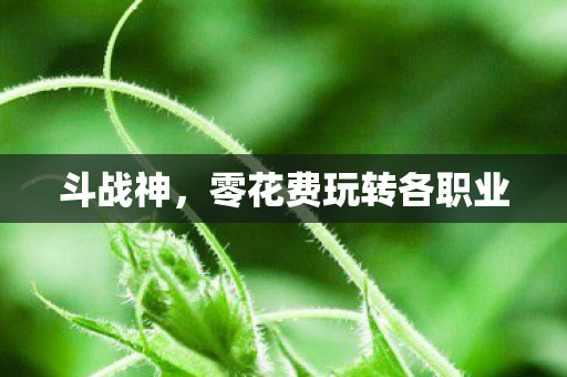 斗战神，零花费玩转各职业