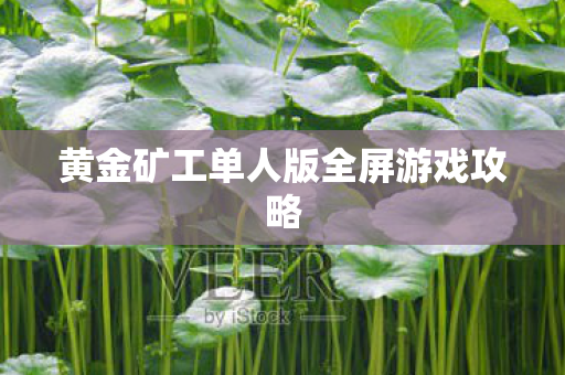 黄金矿工单人版全屏游戏攻略 黄金矿工单人版全屏游戏攻略