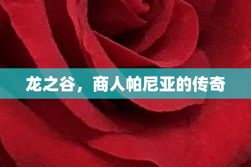 龙之谷，商人帕尼亚的传奇