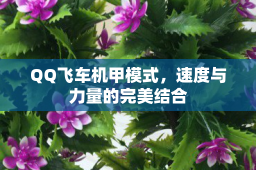 QQ飞车机甲模式,速度与力量的完美结合 QQ飞车机甲模式,速度与力量的完美结合