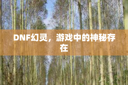 DNF幻灵,游戏中的神秘存在 DNF幻灵,游戏中的神秘存在