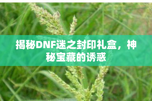 揭秘DNF迷之封印礼盒，神秘宝藏的诱惑