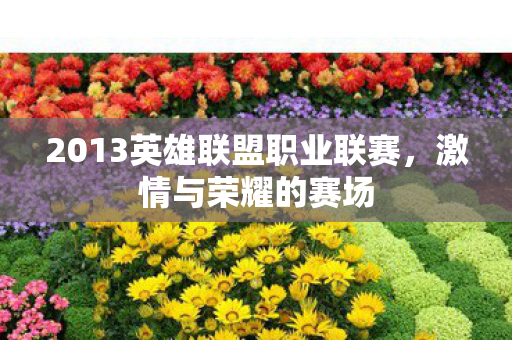 2013英雄联盟职业联赛，激情与荣耀的赛场