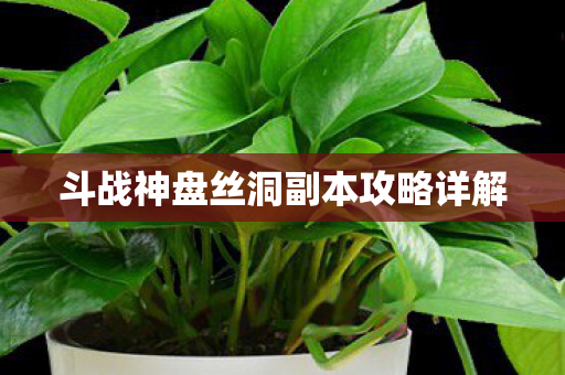 斗战神盘丝洞副本攻略详解