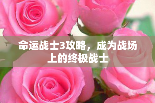 命运战士3攻略，成为战场上的终极战士