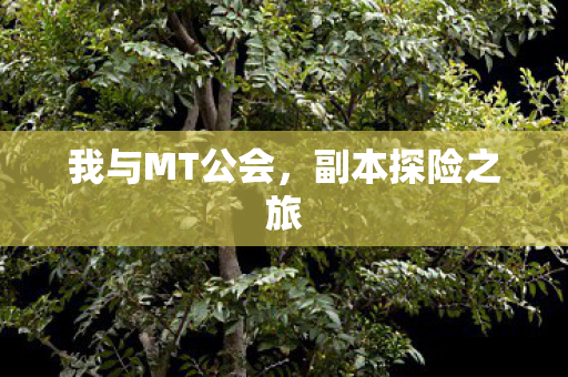 我与MT公会，副本探险之旅