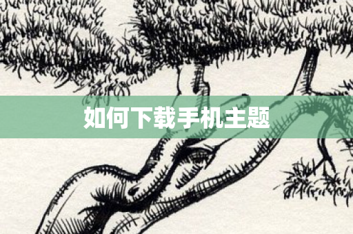 如何下载手机主题