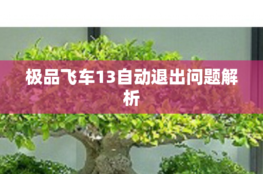 极品飞车13自动退出问题解析