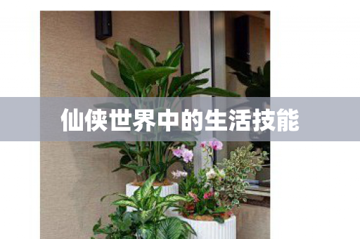 仙侠世界中的生活技能