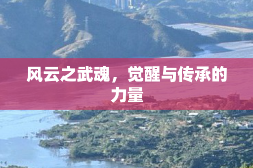 风云之武魂，觉醒与传承的力量