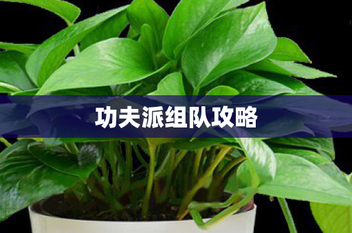 功夫派组队攻略